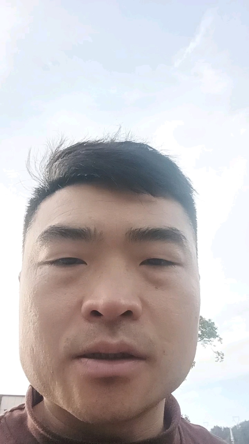 春笋