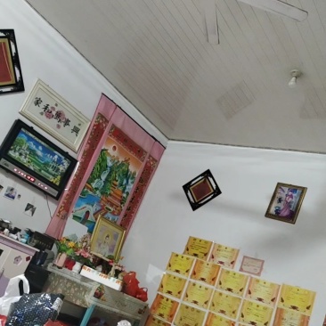 【荐】薄皮椒芜湖椒，鲜辣椒大量上市现货供应产地发货一条龙服务