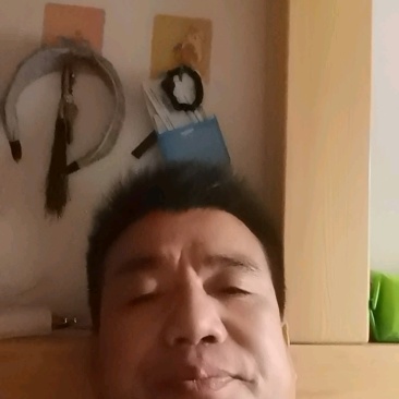熟羊毛肚草原直供草地羊毛肚质量保障量大从优基地直发