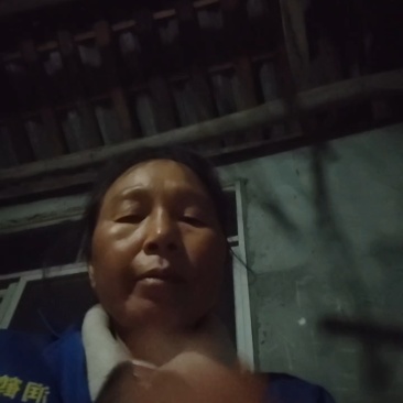 【精选】四川春见耙耙柑饱满多汁产地直供现货批发