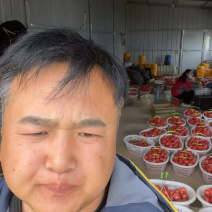 陕西泾阳普罗旺斯水果西红柿番茄