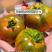 草莓番茄铁皮柿子新鲜水果西红柿各大平台电商一件代发