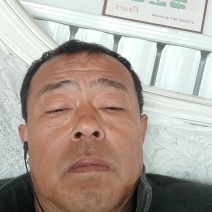 冠县红富士