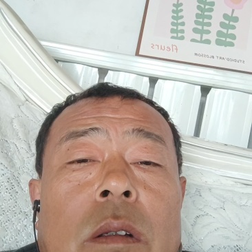 冠县大山楂