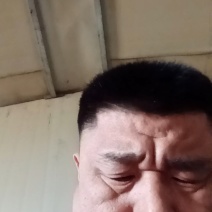 蓝莓