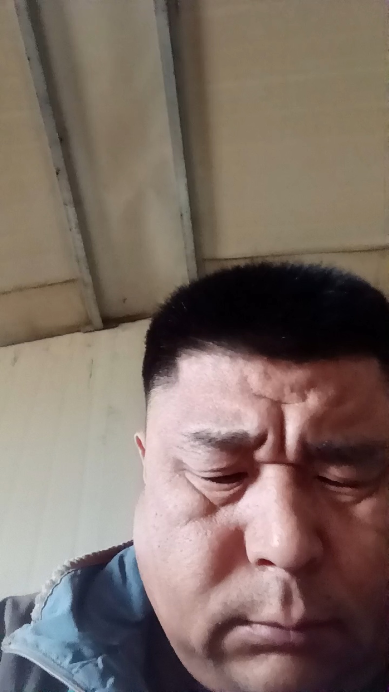 蓝莓