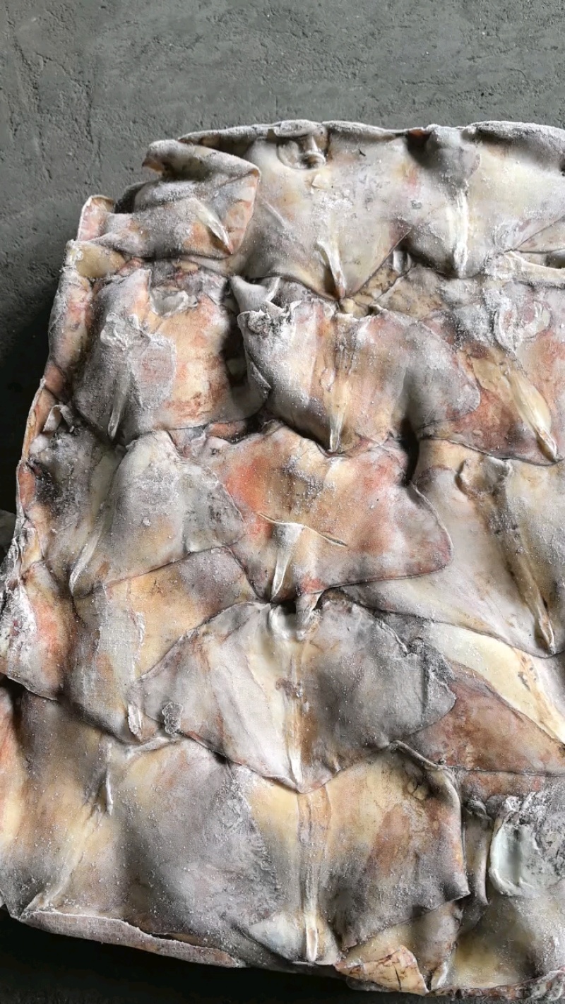 船冻北朝鱿鱼尾巴，100/200净重8公斤一箱，纸箱包装