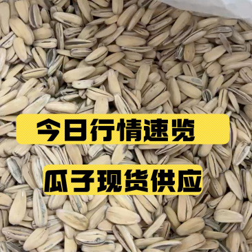 奶油味大颗粒瓜子，现货价格美丽！