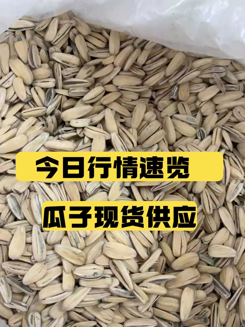 奶油味大颗粒瓜子，现货价格美丽！