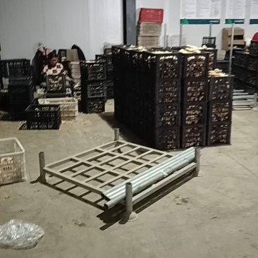 【热卖】大黄姜，鲜姜，生姜，大量上市支持全国发货