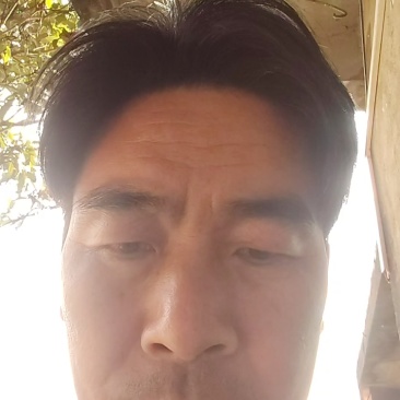 灵芝深山紫灵芝品质保证欢迎联系订购