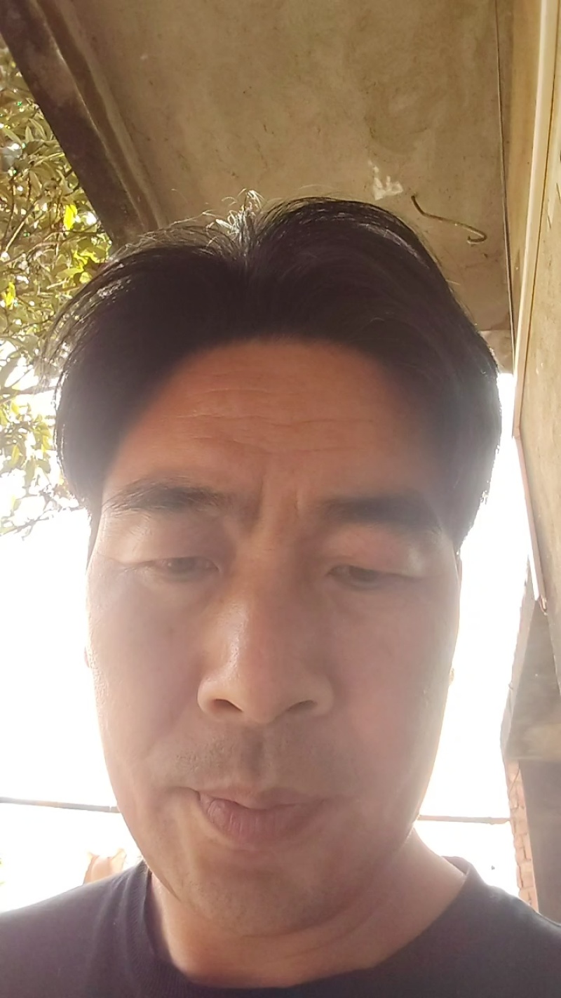 灵芝深山紫灵芝品质保证欢迎联系订购