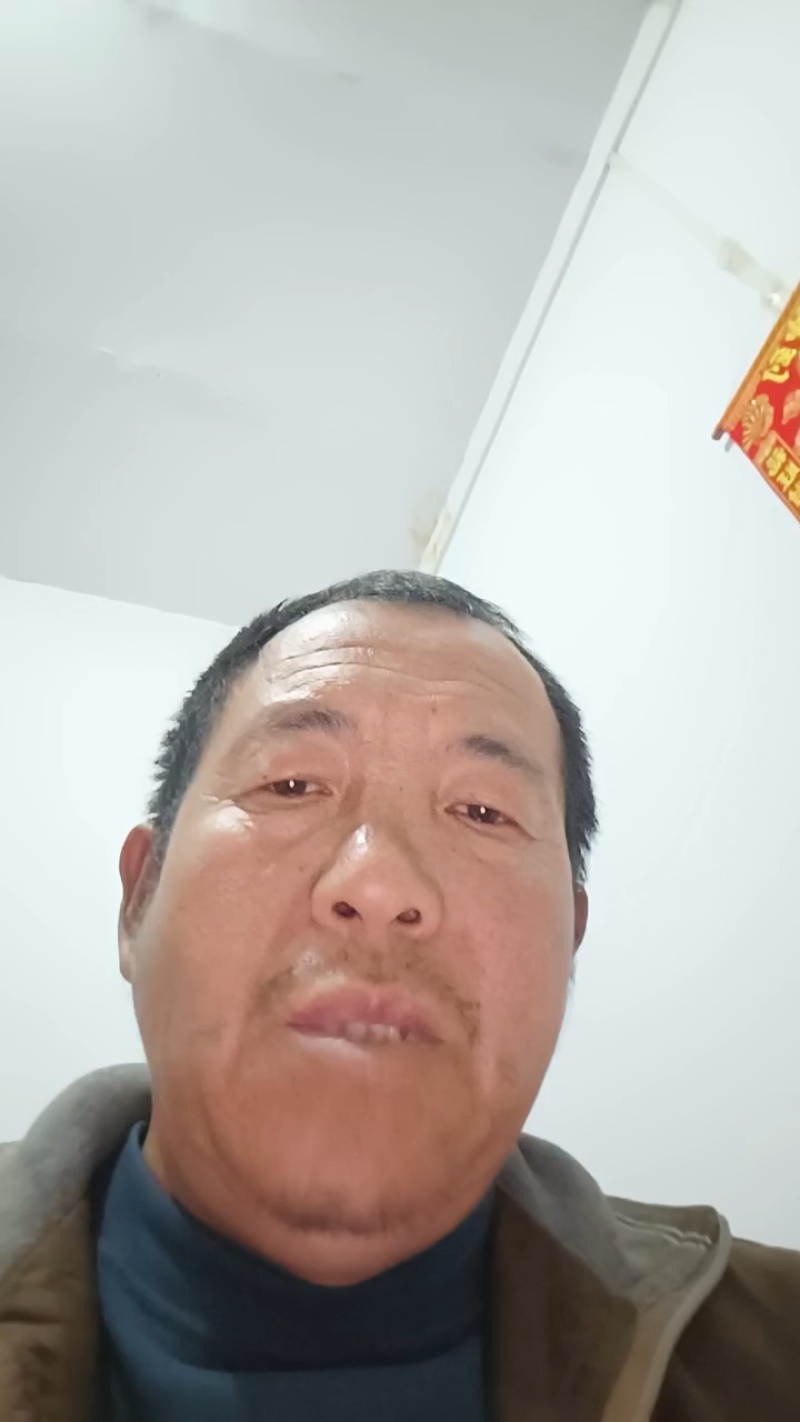山西永济红油香椿现摘现发品质保证有需要速度联系慢无