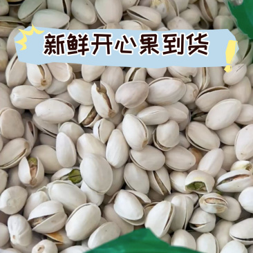 开心果现货批发，一件代发可联系