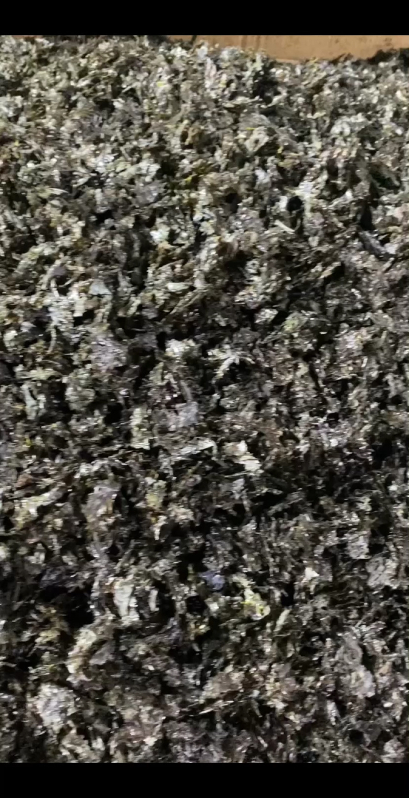 碎紫菜