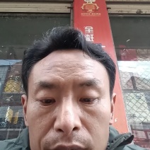 优质货源安岳柠檬尤力克柠檬A级果100克至150克双胞胎