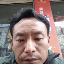 安岳柠檬尤力克柠檬现货大中小一二三级皮薄汁多质量保证