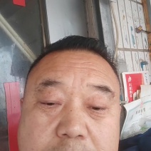 青皇冠梨砀山青皇冠青梨冷库货6两起步商场电商代发