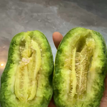 羊角蜜甜瓜（山东甜瓜）产地直供一手货源脆甜多汁