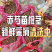 1年芍药苗，赤芍苗自家苗圃种植，一手货源