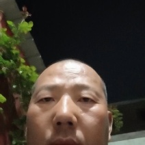 邯郸精品大叶波菜保质保量大量有货，欢迎订购