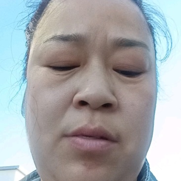 羊肉卷