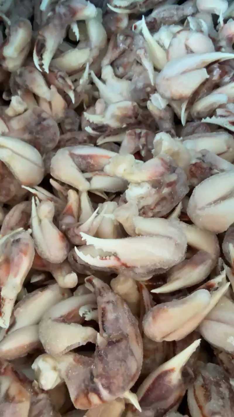 沙蟹钳新鲜冷冻蟹脚蟹钳石蟹脚花蟹脚毛蟹脚蟹足