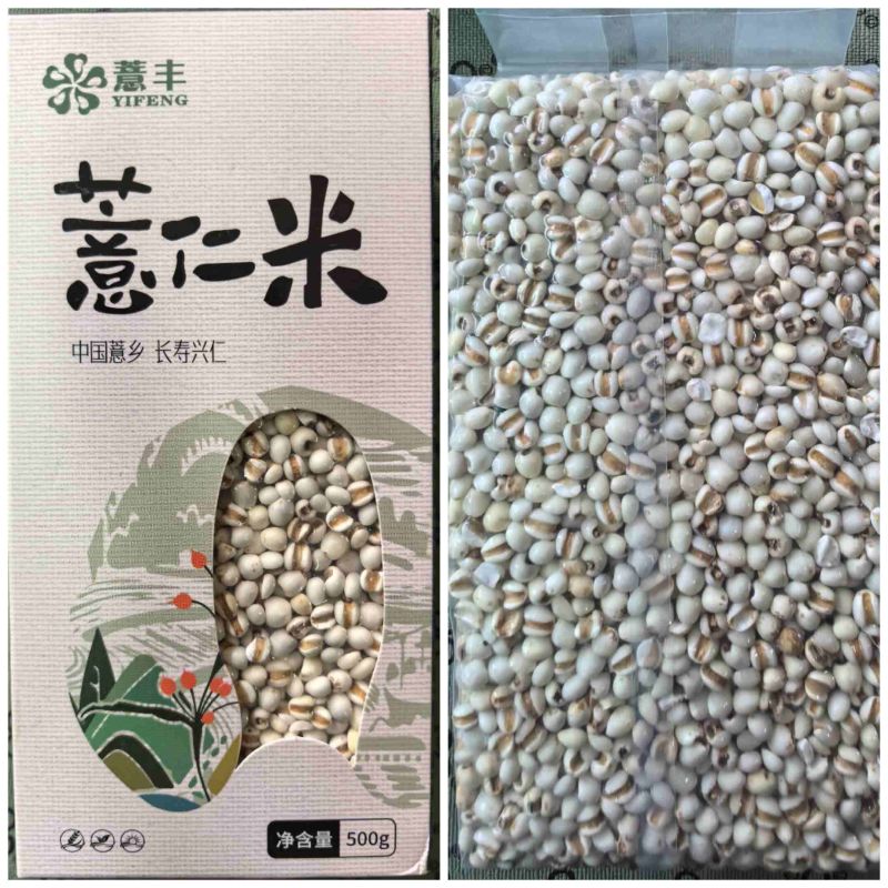 薏仁米