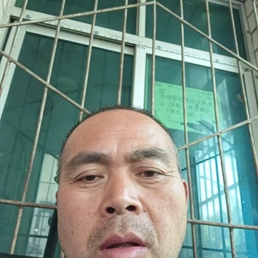 奉节脐橙