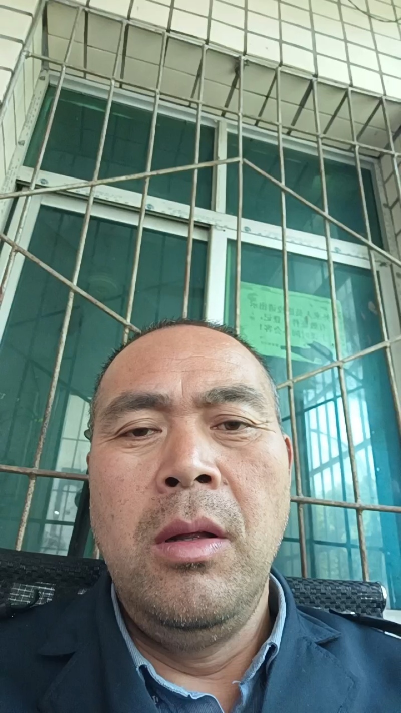 奉节脐橙