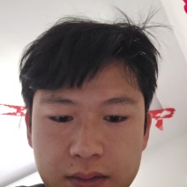 紫色抱子甘蓝