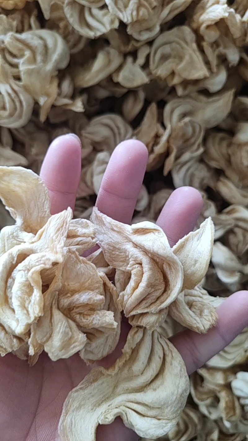 大豆耳展销会赶集热卖炒菜炖菜做火锅麻辣凉拌都可以量大优惠
