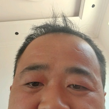 (泥蛏子)鲜活蛏子新鲜蛏子双头蛏双头蛏海贝海产水产