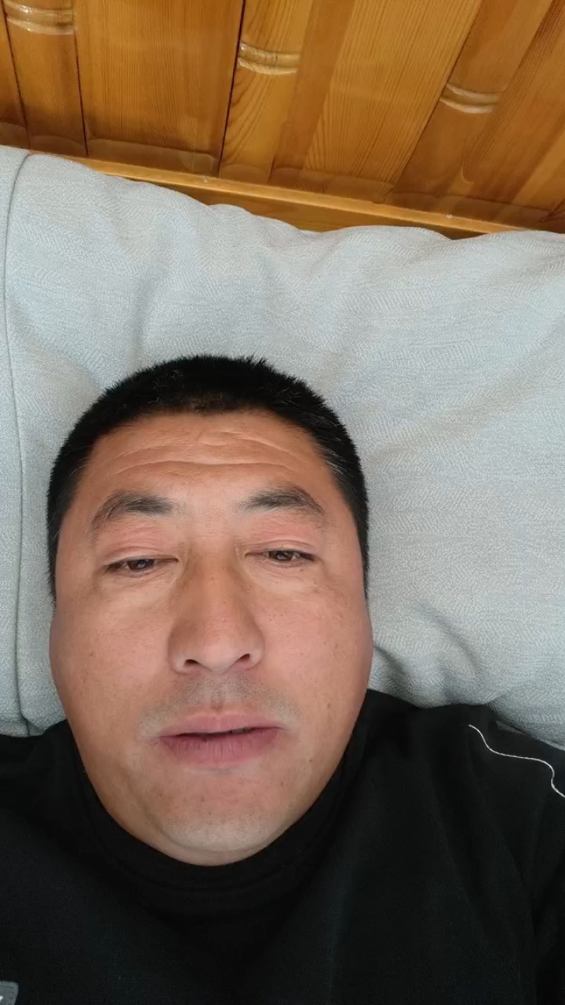 酸枣苗冬枣苗嫁接成品蟠枣树苗