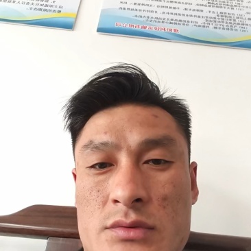 纯干鸡粪蛋鸡粪发酵鸡粪有机肥