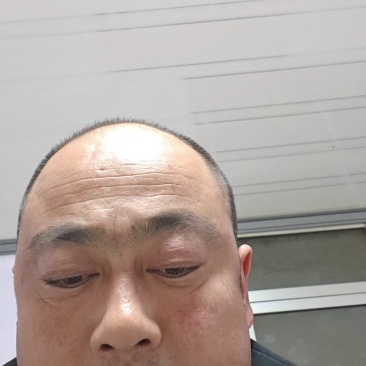 辽宁有机肥/辽宁羊粪有机肥/辽宁羊粪/价格便宜欢迎来电