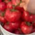 精品西红柿🍅硬粉