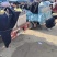山东玉姑甜瓜冰淇淋玉菇中国香瓜燕店镇欢迎电联价优