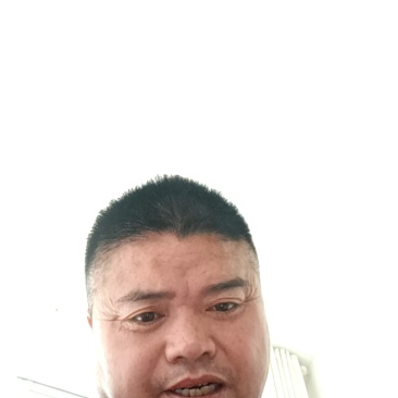 洋葱白球