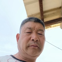 老白蜡丛生白蜡秋紫白蜡金叶白蜡速生白蜡对接白蜡