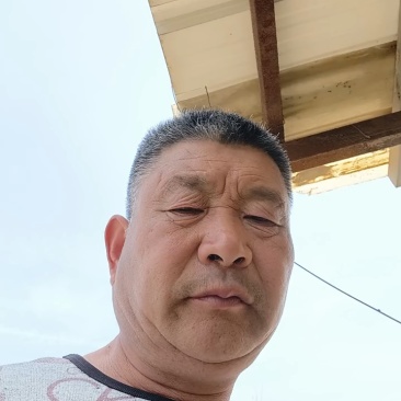 老白蜡丛生白蜡秋紫白蜡金叶白蜡速生白蜡对接白蜡