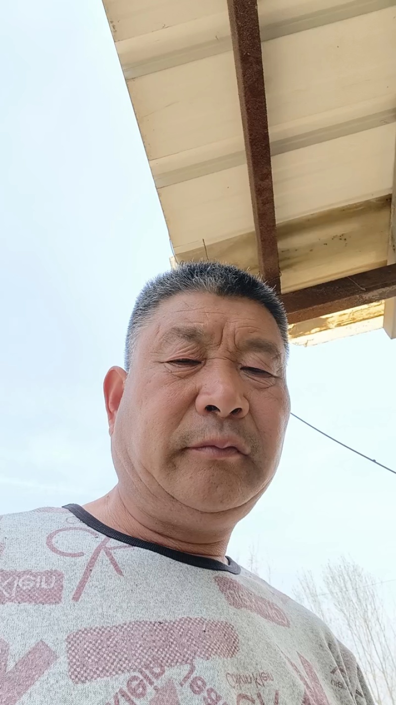 老白蜡丛生白蜡秋紫白蜡金叶白蜡速生白蜡对接白蜡