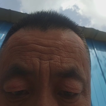 矮麦冬新价格,矮麦冬批发,矮麦冬全国发货