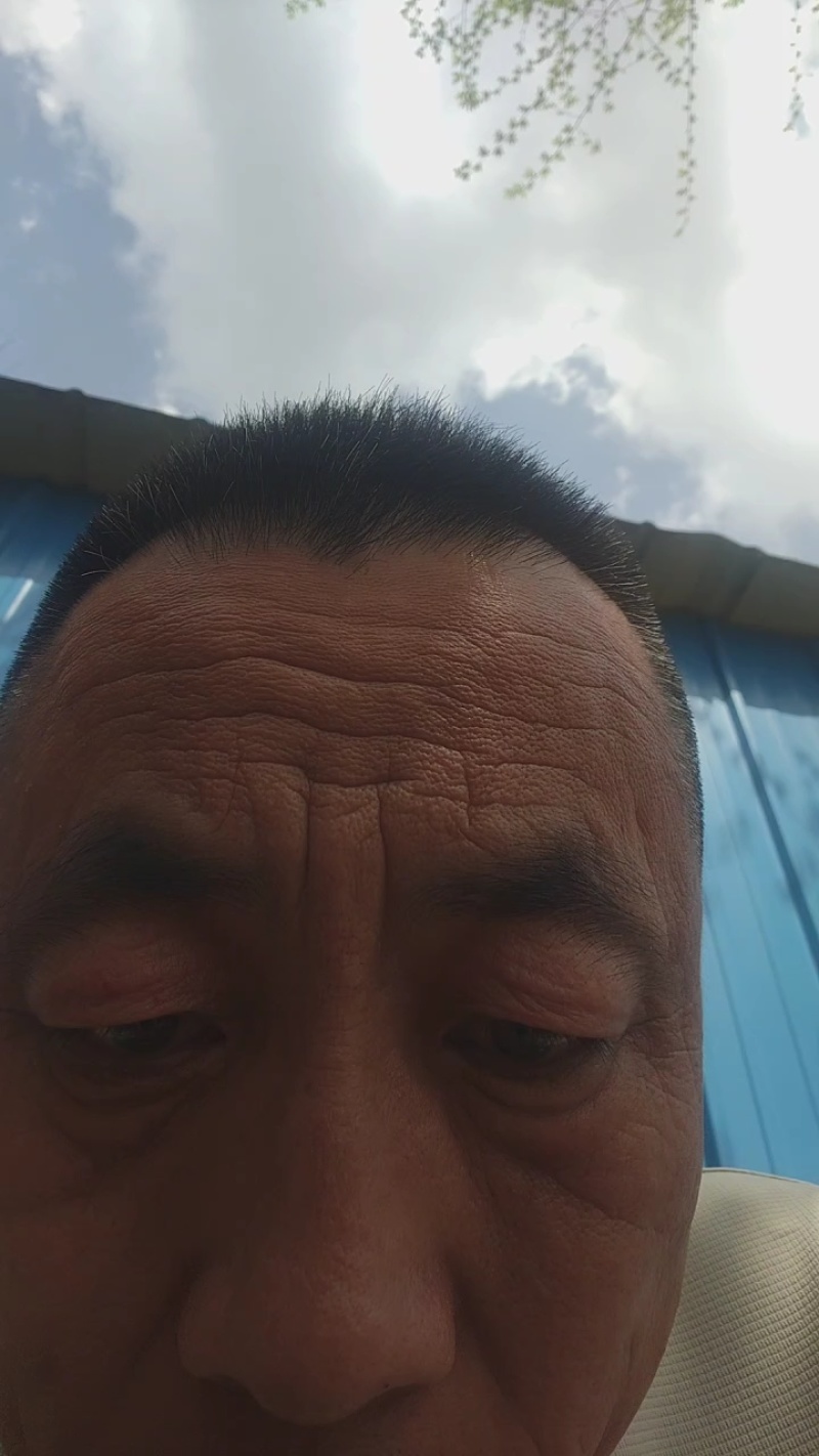 矮麦冬新价格，矮麦冬批发，矮麦冬全国发货