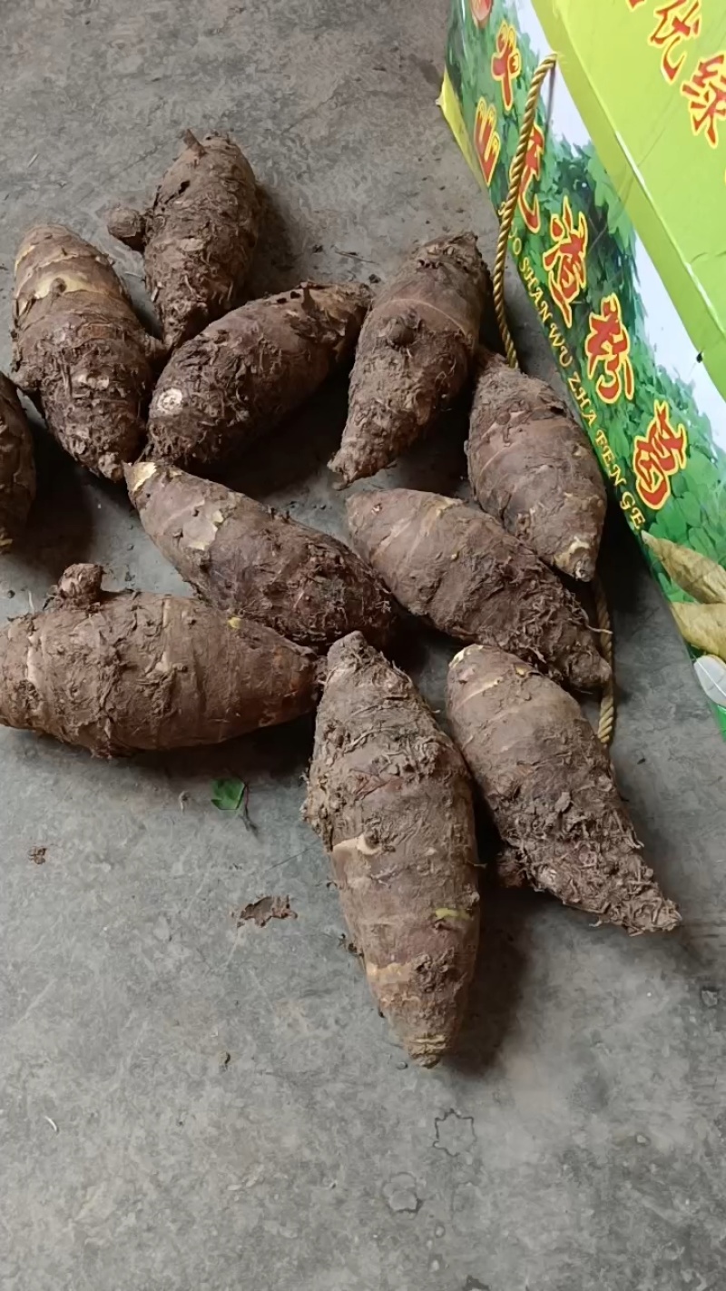 山东香芋自家种植，没用一滴农药化肥的生态香芋，欢迎电联