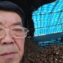 大家好！今日芋头价格:大球2.0，中球1.8欢迎联系，