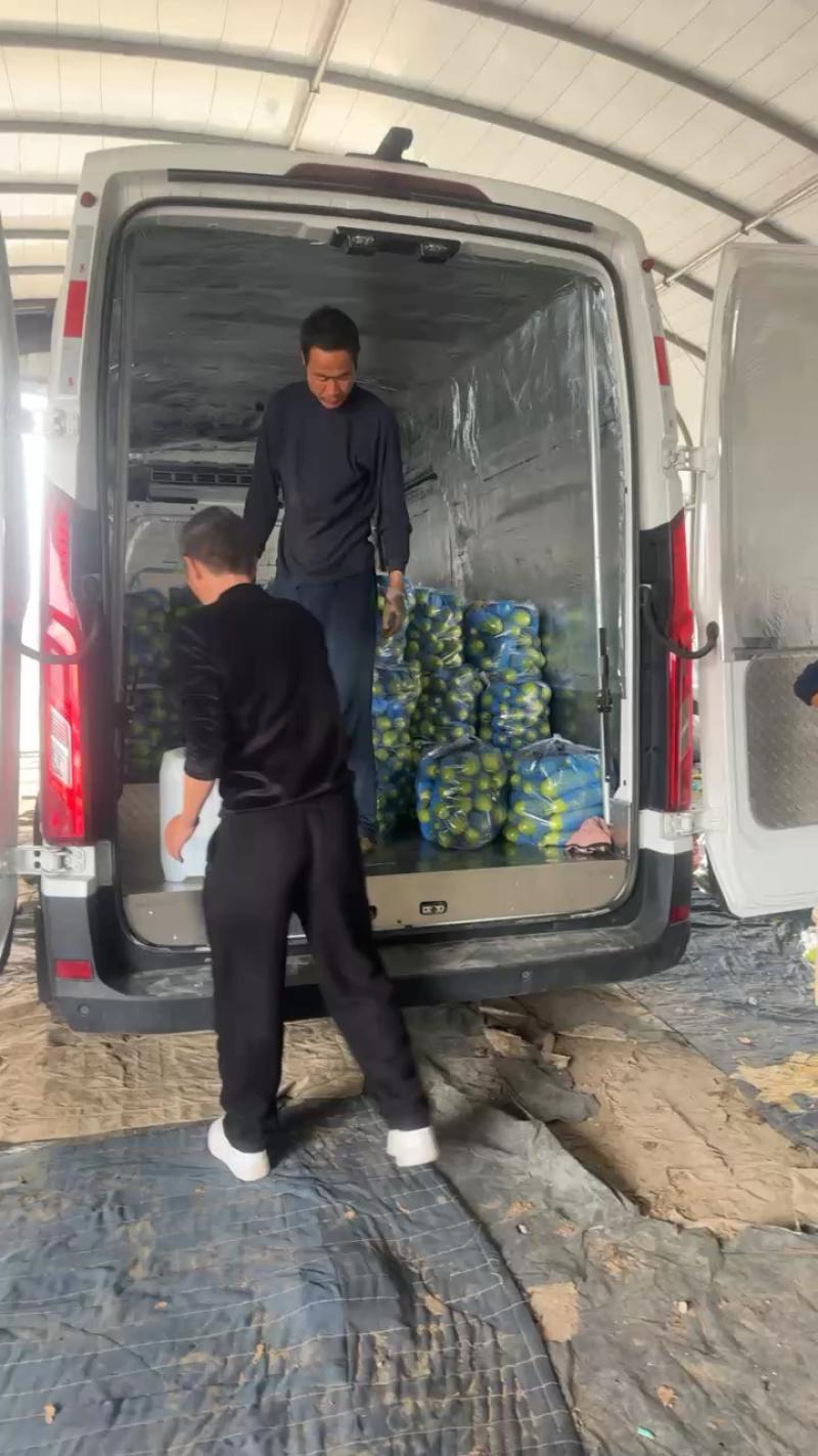 山东沂蒙山产地绿皮西葫芦产地直供，欢迎实地考察