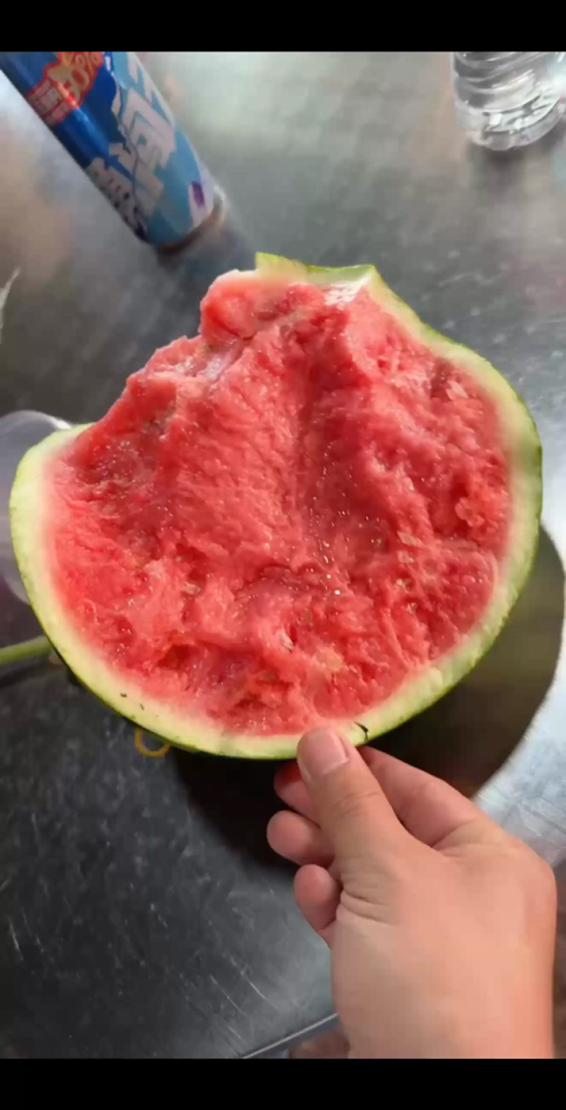 云南西双版纳美都无籽西瓜大量供应产地直发欢迎来电咨询