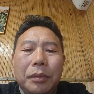竹笋雷竹笋现挖现发产地直供一手货源欢迎咨询