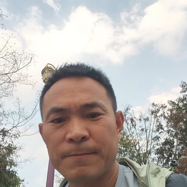 云南孟连黄金甘蔗，勐海景洪景东黄金甘蔗，商超电商甘蔗